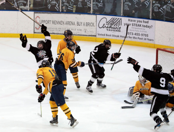 Three stars from Woodbridge Township's 2018-2019 team celebrates after scoring a goal. This year's group is expected to have an even better season than the last.