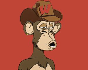 A Bored Barron Ape as seen in the recent WHS NFT collection. This particular ape features it wearing a WHS logo embroidered on a cowboy hat.