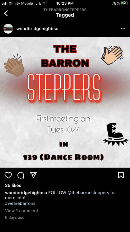 Barron Steppers