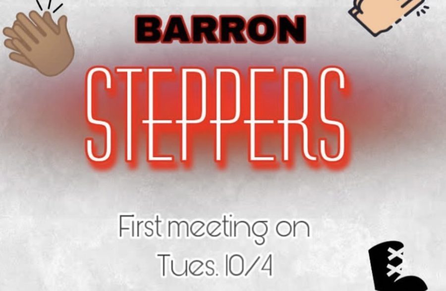 Barrons Steppers