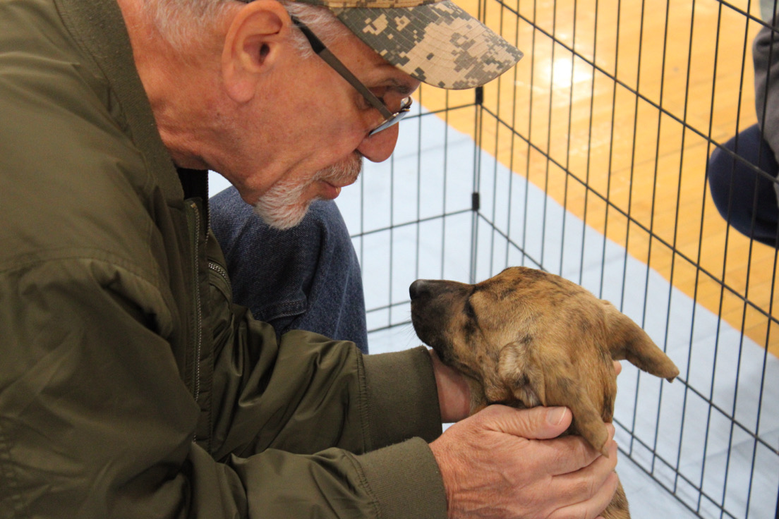 SOS Clubs Home for the Holidays Event Rehomes Several Foster Animals