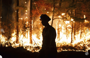 A firefighter is silhouetted against a forest fire on November 6, in Evesham Nj